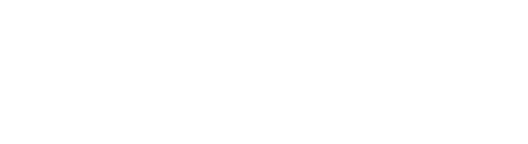 Zarmed University
